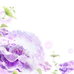 紫色水彩花卉挂画装饰画