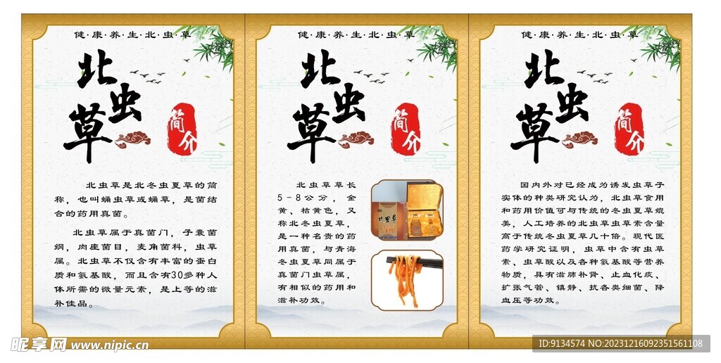 虫草花 北虫草 简介