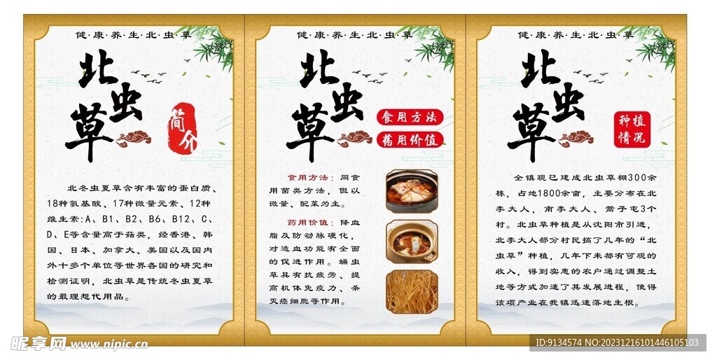 虫草花 北虫草 简介 展板 
