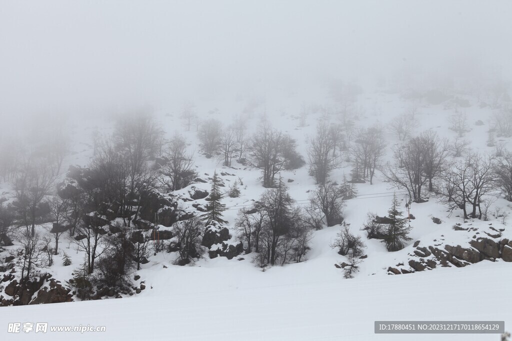 山林