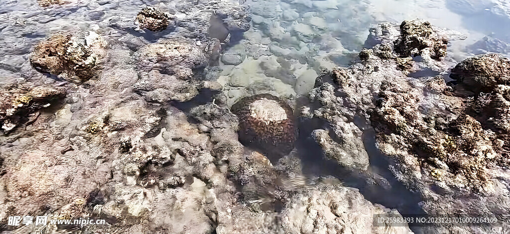 海边礁石