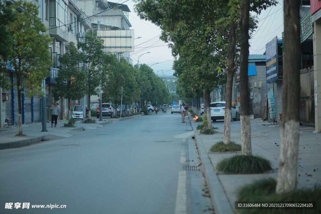 街道 城市