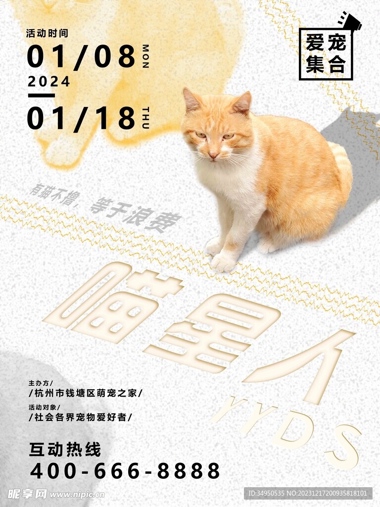 宠物海报