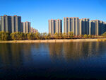 城市