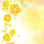 黄色花卉花朵挂画装饰画