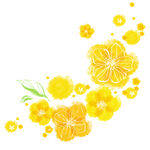 黄色花卉花朵挂画装饰画