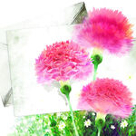 唯美花卉花束挂画装饰画