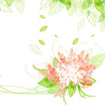 水彩花卉花朵绿叶挂画装饰画