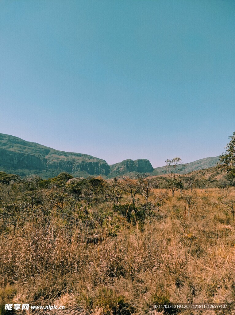 大山风景