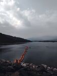 河边风景