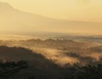 自然风景