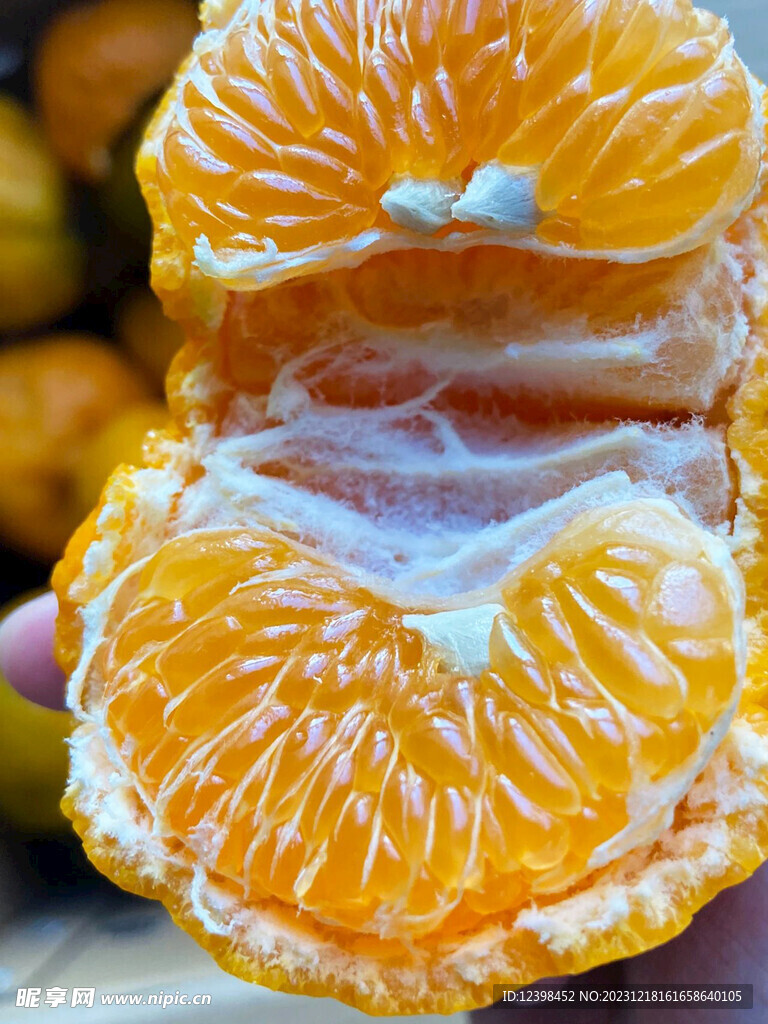 椪柑橘子