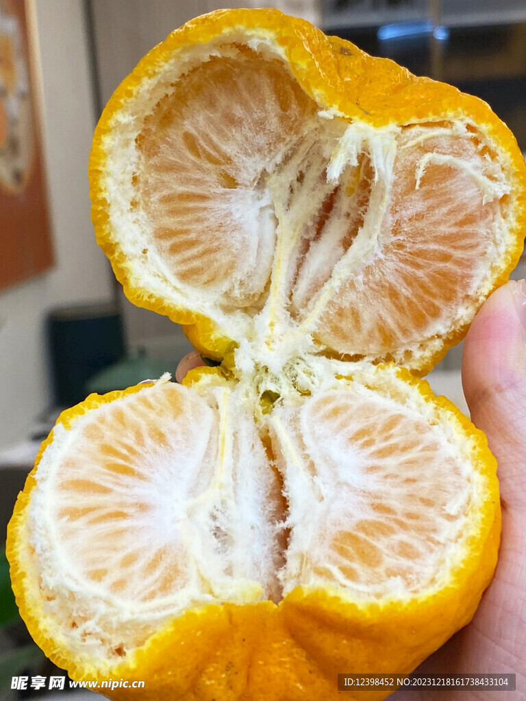 椪柑橘子