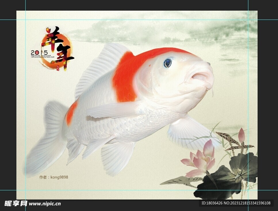 白色锦鲤鱼水族观赏鱼壁纸