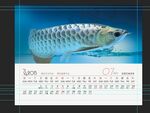 金龙鱼水族观赏鱼壁纸