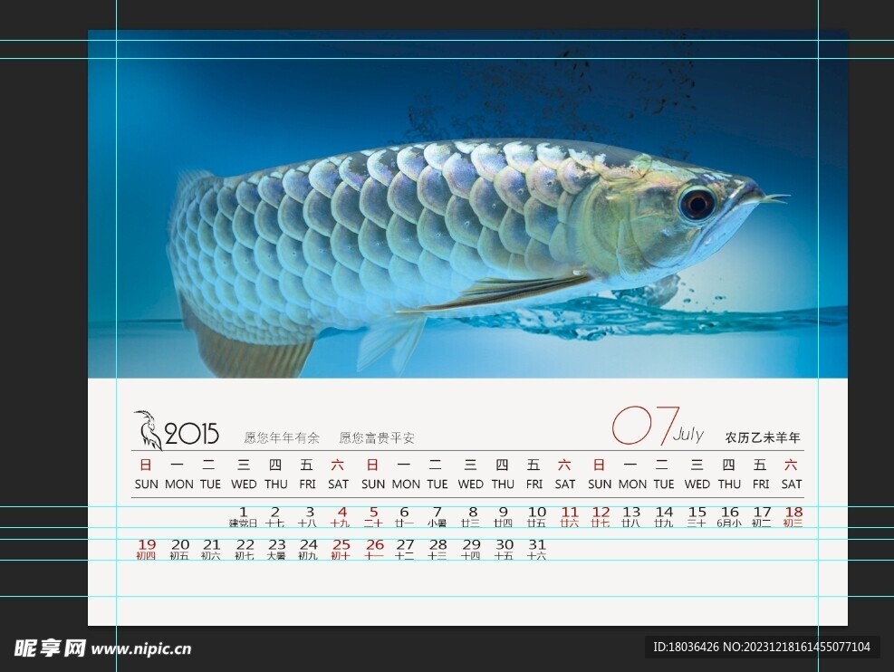 金龙鱼水族观赏鱼壁纸