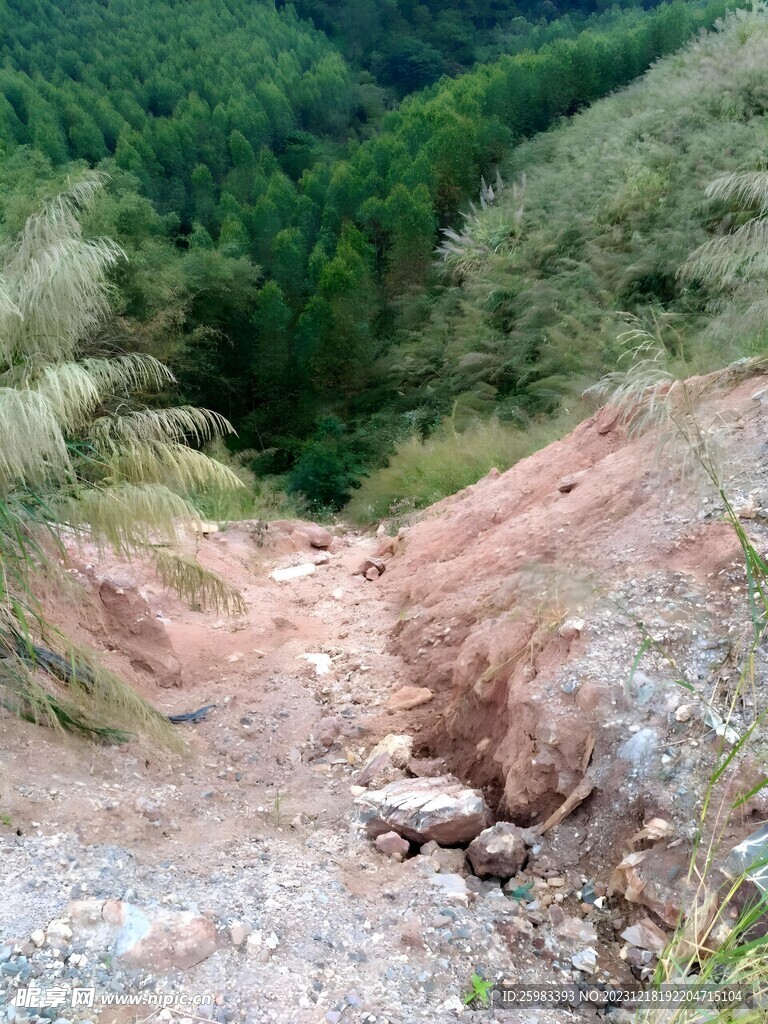 山区小路