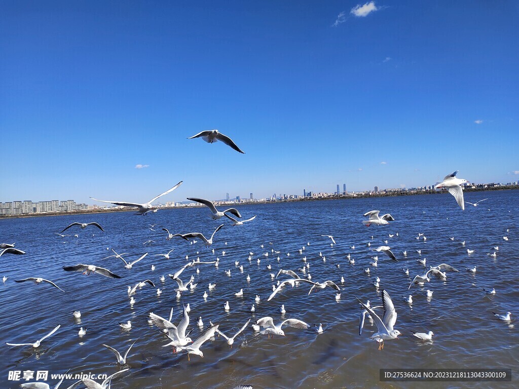 滇池风景