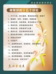 做臀部的好处