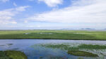 东平湖湿地