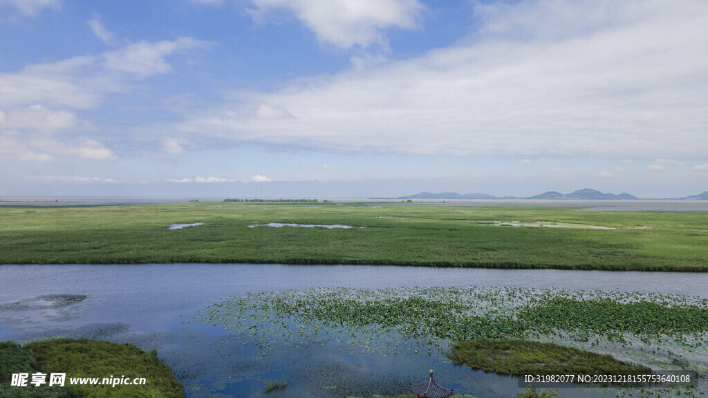 东平湖湿地 