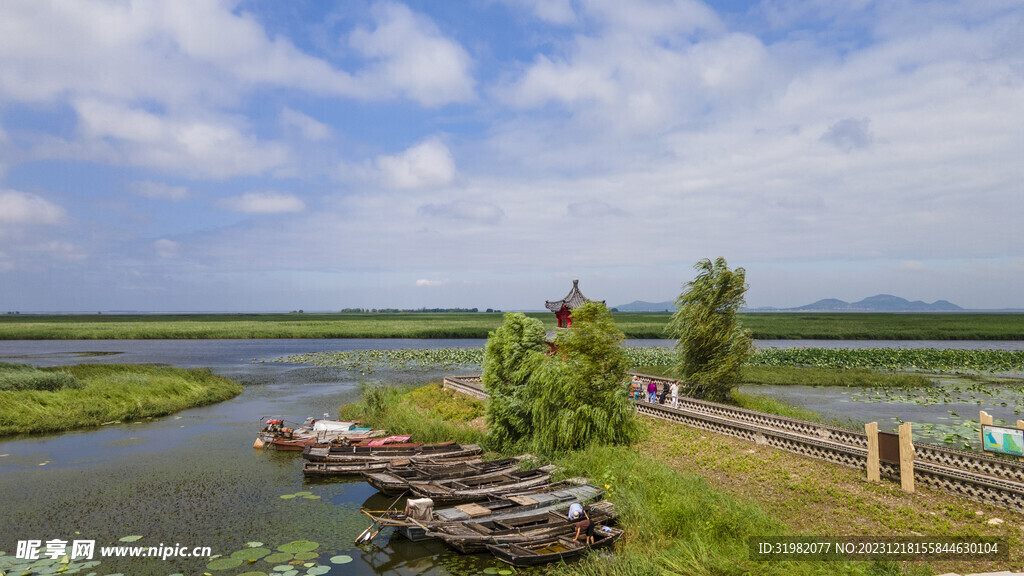 东平湖湿地 