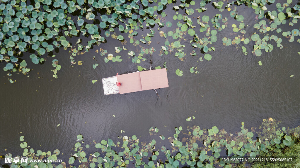 东平湖湿地 