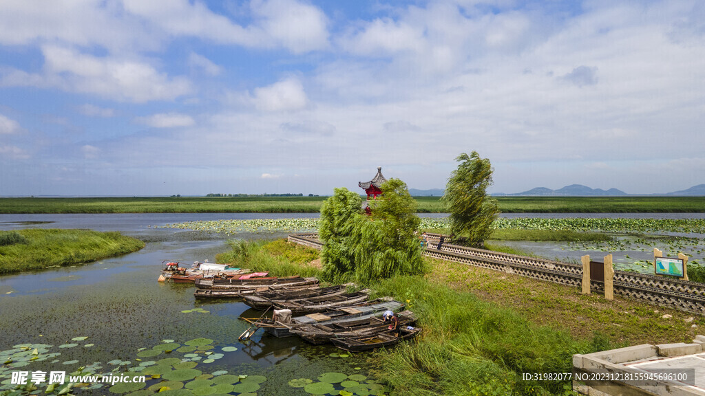 东平湖湿地