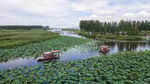 东平湖湿地