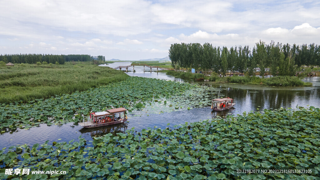 东平湖湿地