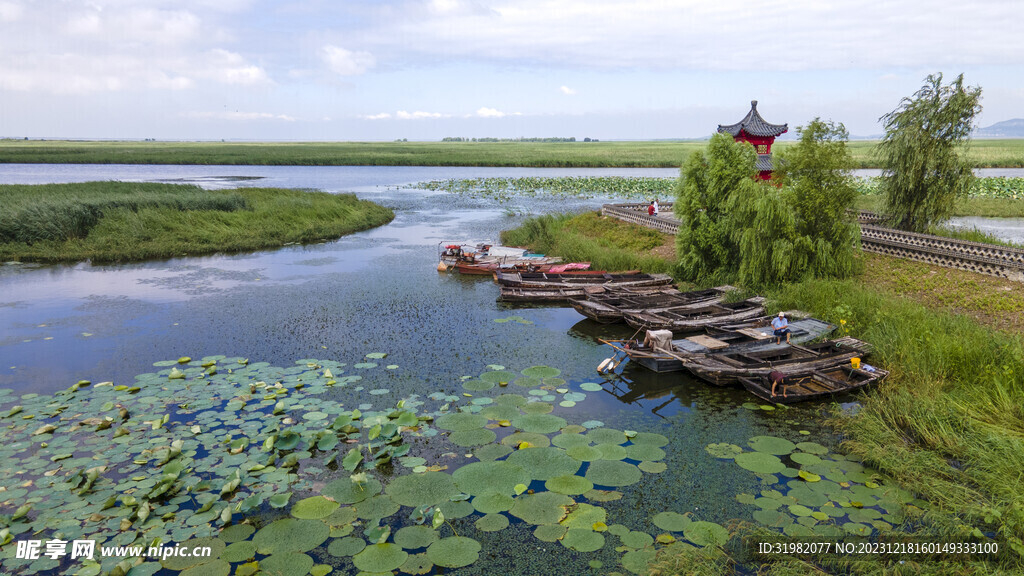 东平湖湿地