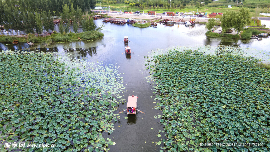 东平湖湿地