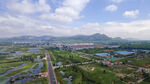 东平湖湿地 