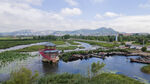 东平湖湿地