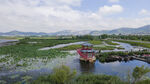 东平湖湿地