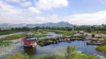 东平湖湿地