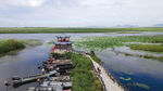 东平湖湿地 