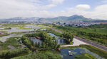 东平湖湿地