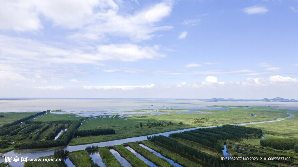 东平湖湿地