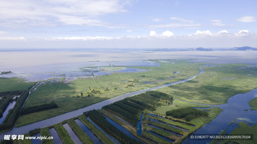 东平湖湿地 