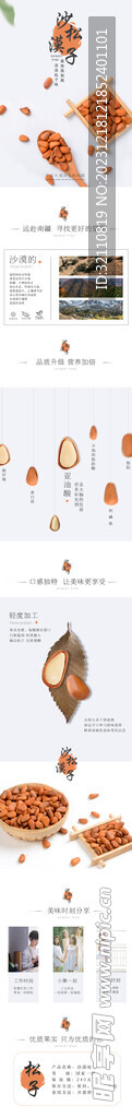 沙漠松子电商详情