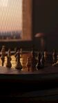 国际象棋