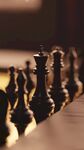 国际象棋