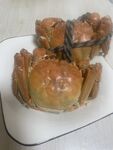 螃蟹