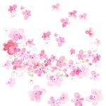 唯美粉色花卉装饰画
