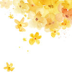 唯美黄色花卉花朵挂画装饰画