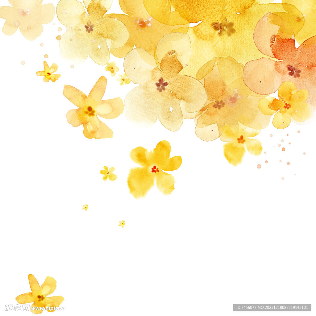 唯美黄色花卉花朵挂画装饰画