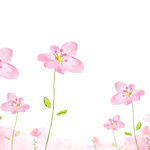唯美粉色花卉花束挂画装饰画