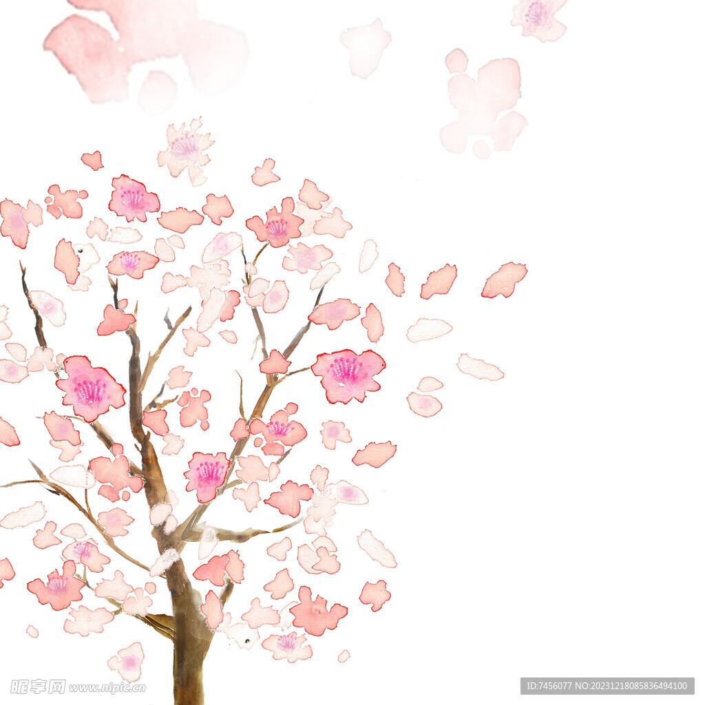 水彩花枝花卉挂画装饰画