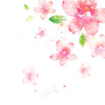 花朵水彩花卉挂画装饰画